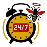 24/7 Wespen-Notdienst